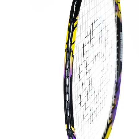 Ракетка бадм. TORRES Carbon PRO6, BD20521,для продв., стерж/обод из карбона,со струнами, фиол за 4&nbsp;477.80 ₽ купить в Сургуте