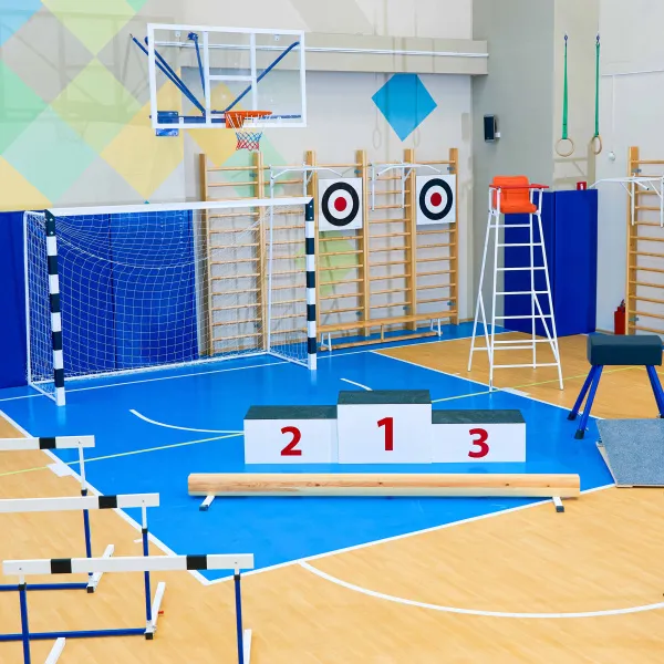 Щит для метания навесной на шведскую стенку (фанера) 700х700 ZAVODSPORTA за 8&nbsp;960 ₽ в Сургуте