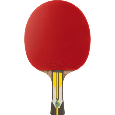 Ракетка для н/т DOUBLE FISH 6A+C, для подвин.,ITTF Appr.,накл. 2,1 мм, конич. ручка+ 2 мяча V40+мм за 3&nbsp;442.50 ₽ купить в Сургуте