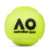 Мяч теннисный Dunlop Australian Open, 601601, уп..3 шт, одобр.ITF,фетр,нат.резина, желтый за 1&nbsp;171.30 ₽ купить в Сургуте