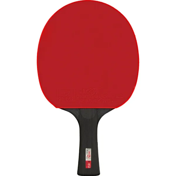 Ракетка для н/т DOUBLE FISH Black Carbon King Racket 5*****, для професс.,ITTF Appr.,накл.2,1,мм за 6&nbsp;434.50 ₽ в Сургуте