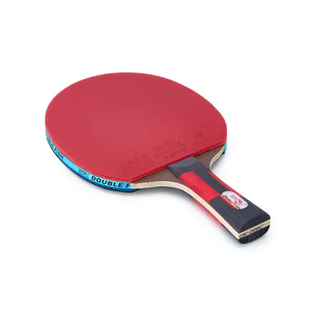Ракетка для н/т DOUBLE FISH CK-208, для любителй, ITTF,наклад. 2,2 мм, конич. ручка + сумка-чехол за 2&nbsp;004.30 ₽ купить в Сургуте