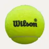 Мяч для падела Wilson Premier Padel Speed, WR8908501001, уп.3 шт, FIP Appr.,сукно, нат.резина,желтый за 1&nbsp;235.90 ₽ купить в Сургуте
