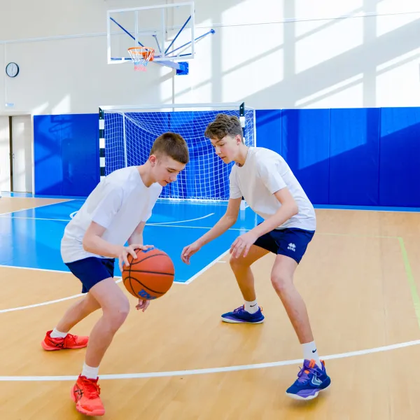 Щит баскетбольный игровой (монолитный поликарбонат) 1050х1800 мм ZAVODSPORTA за 47&nbsp;600 ₽ в Сургуте